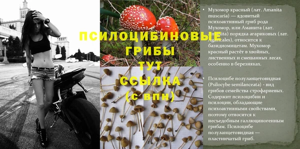дистиллят марихуана Богородицк