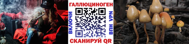 Галлюциногенные грибы Psilocybine cubensis  Киренск 